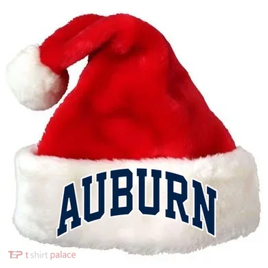 Santa Hat