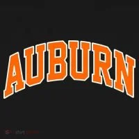 Auburn Toddler T-Shirt thumb 4