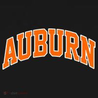 Auburn Kids Hoodie thumb 5
