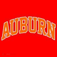 Auburn Santa Hat thumb 1