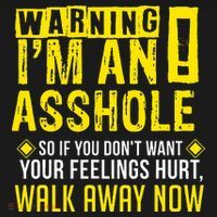Asshole Assholes Warning Vulgar Profanity Fun Gag Gift Women's Hoodie thumb 2