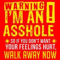Asshole Assholes Warning Vulgar Profanity Fun Gag Gift Santa Hat thumb 1