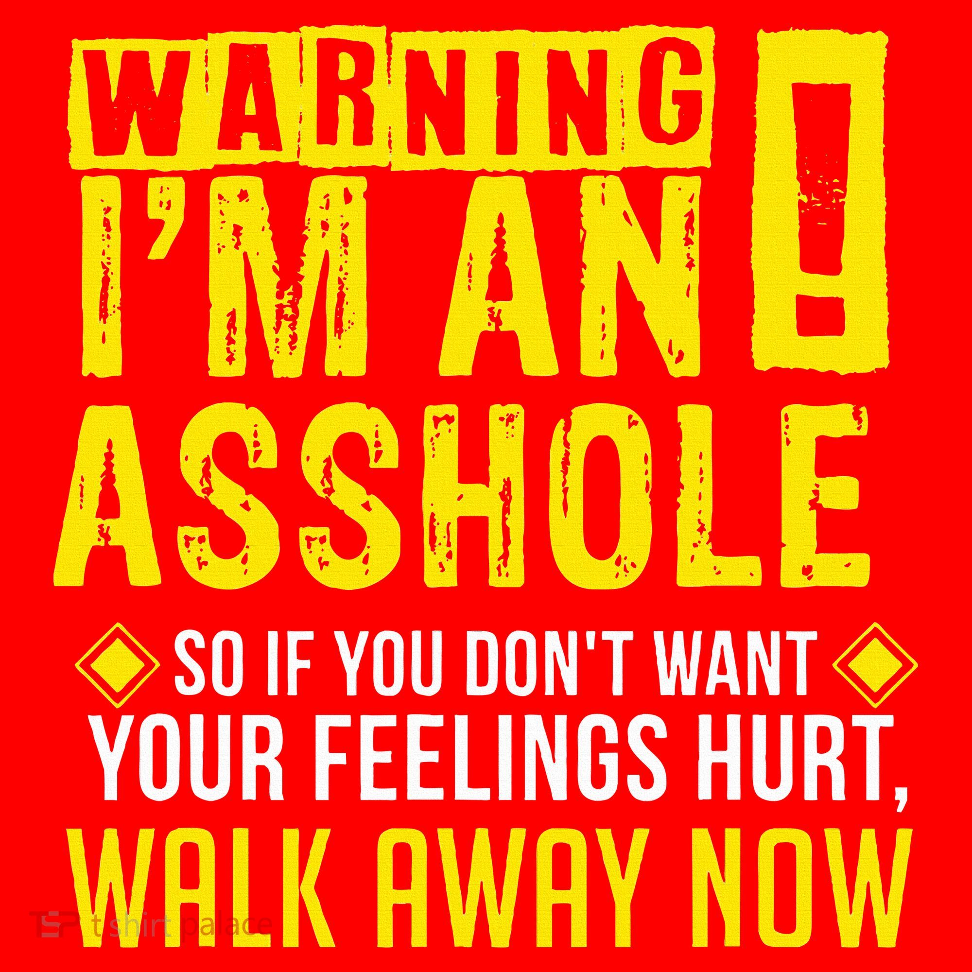 Asshole Assholes Warning Vulgar Profanity Fun Gag Gift Santa Hat