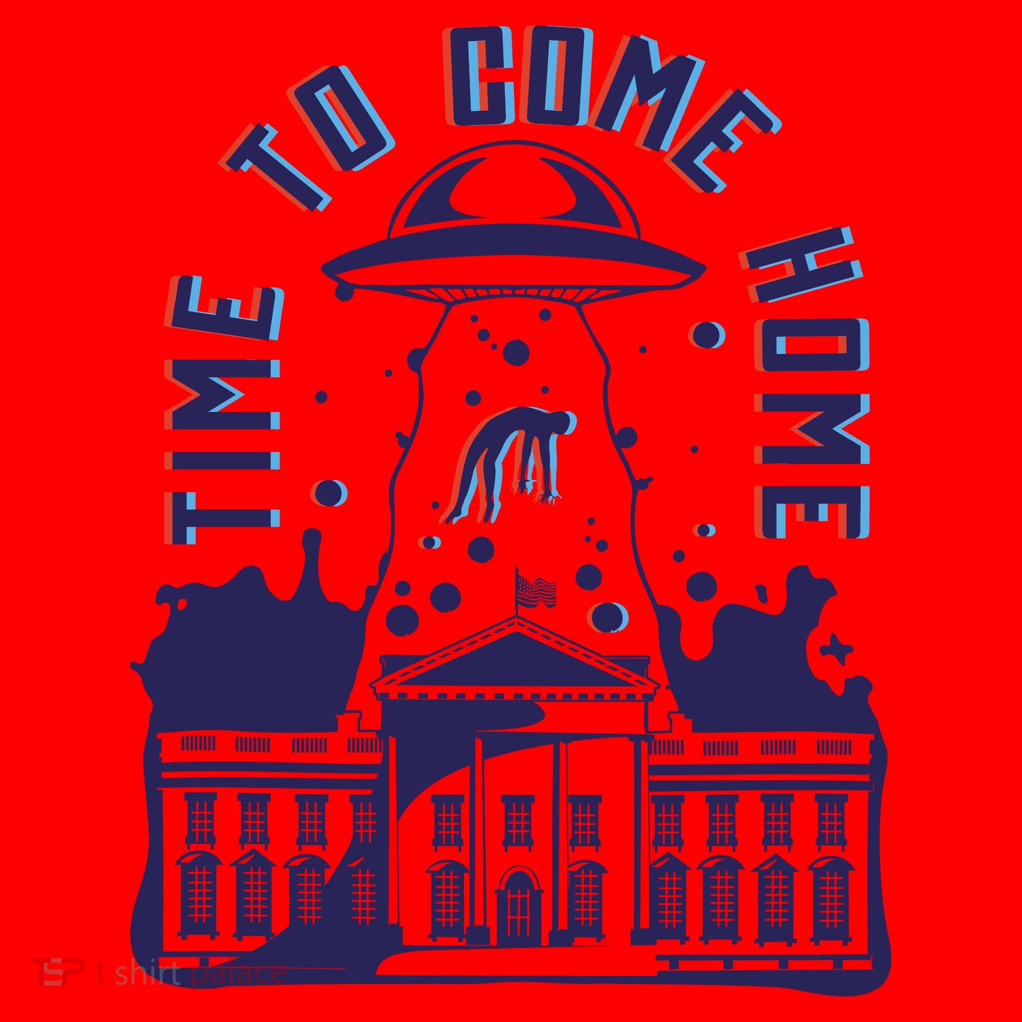 Alien Abduction White House Santa Hat