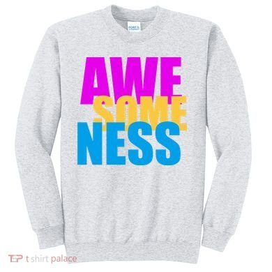 Awesomeness Sweatshirt