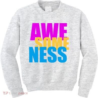 Awesomeness Kids Sweatshirt