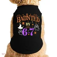 Aunted By 6-7 Halloween Math Teacher 67 Meme Doggie Tank thumb 0