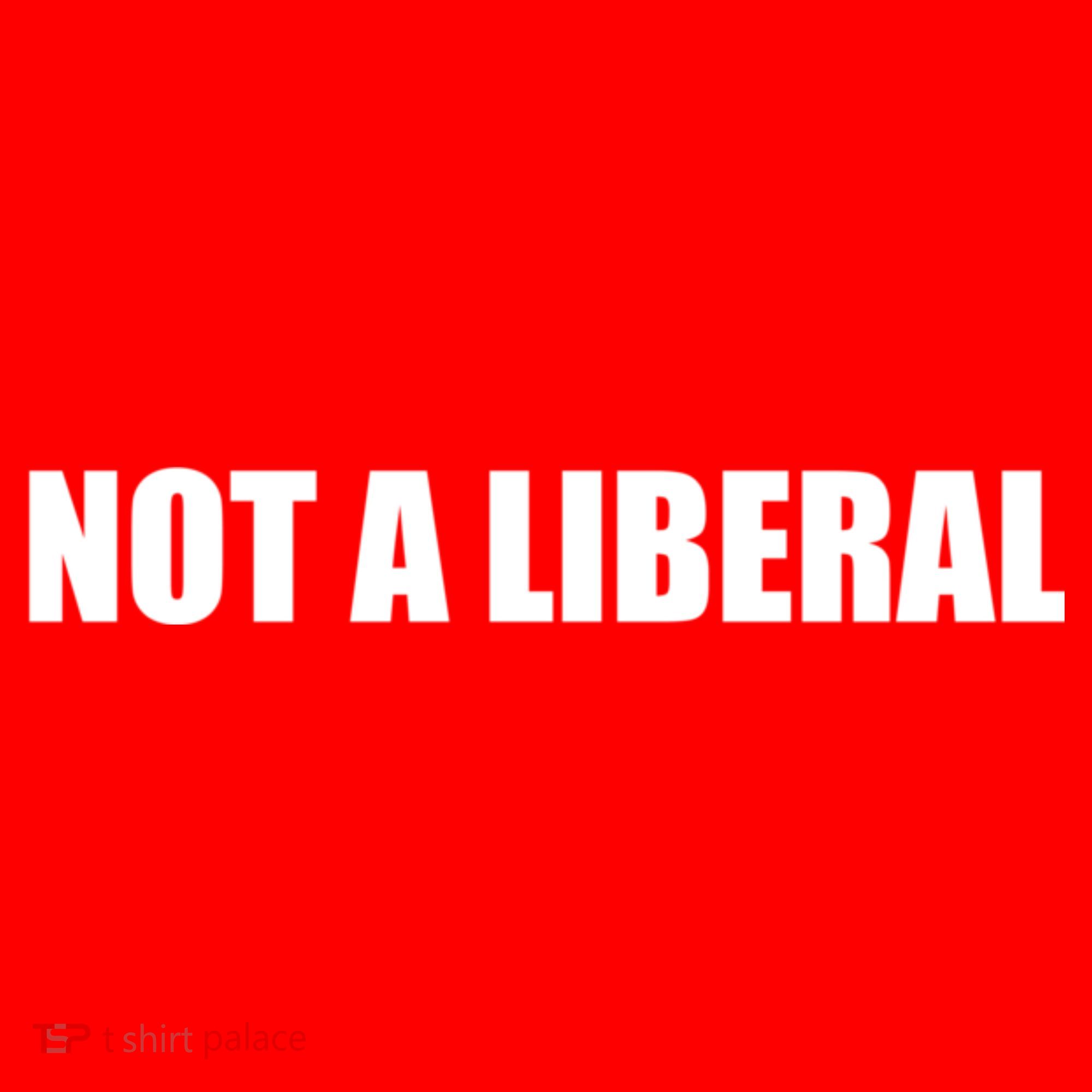 Anti Biden Anti Democrat Anti Liberal Funny Gifts Not A Liberal T-Shirt