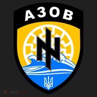Azov Battalion A30B Shield Special Forces Ukraine Hat thumb 2