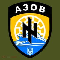 Azov Battalion A30B Shield Special Forces Ukraine Kids Hoodie thumb 2