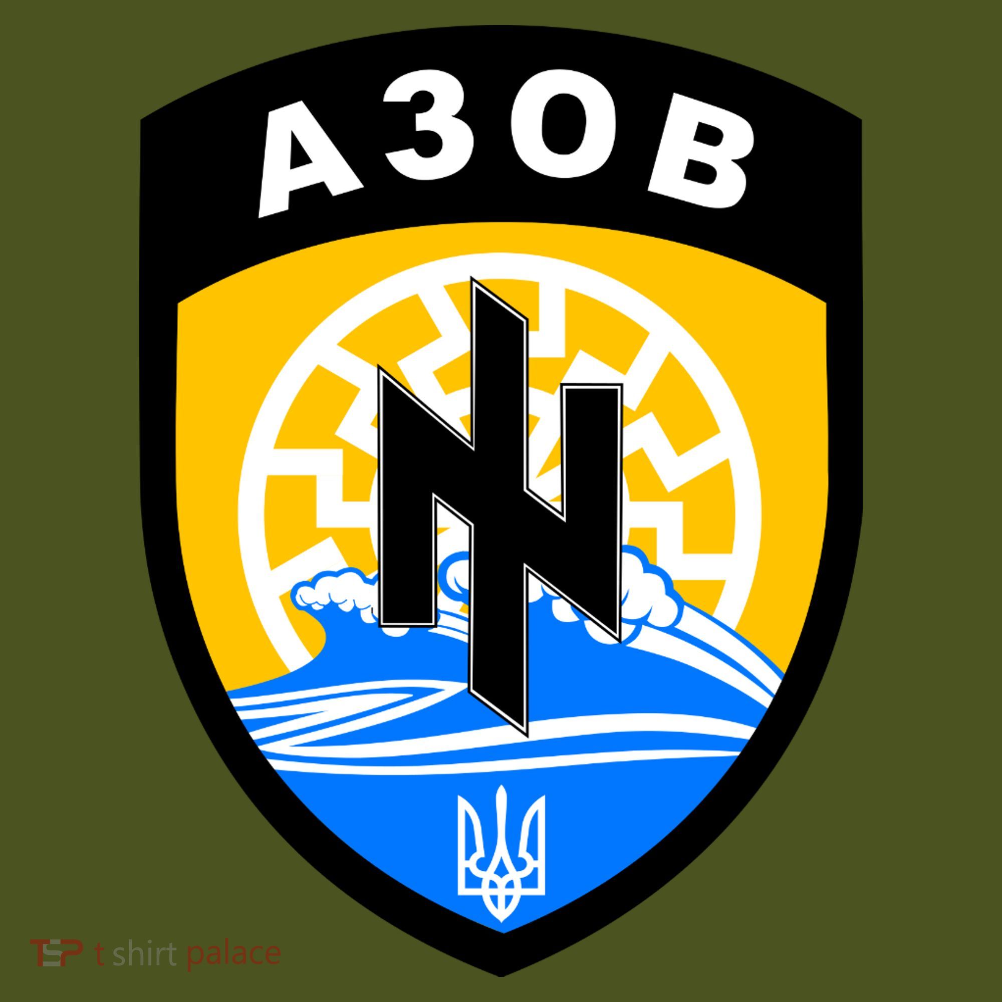 Azov Battalion A30B Shield Special Forces Ukraine Kids Hoodie