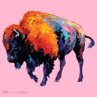 American Buffalo Buffalo American Bison Coaster thumb 2