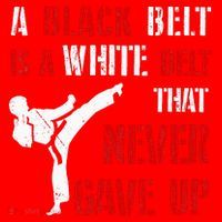 A Black Belt Is A White Belt That Never Gave Up Karate MMA Santa Hat thumb 1
