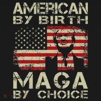 American By Birth Maga By Choice Trump 2024 T-Shirt thumb 7