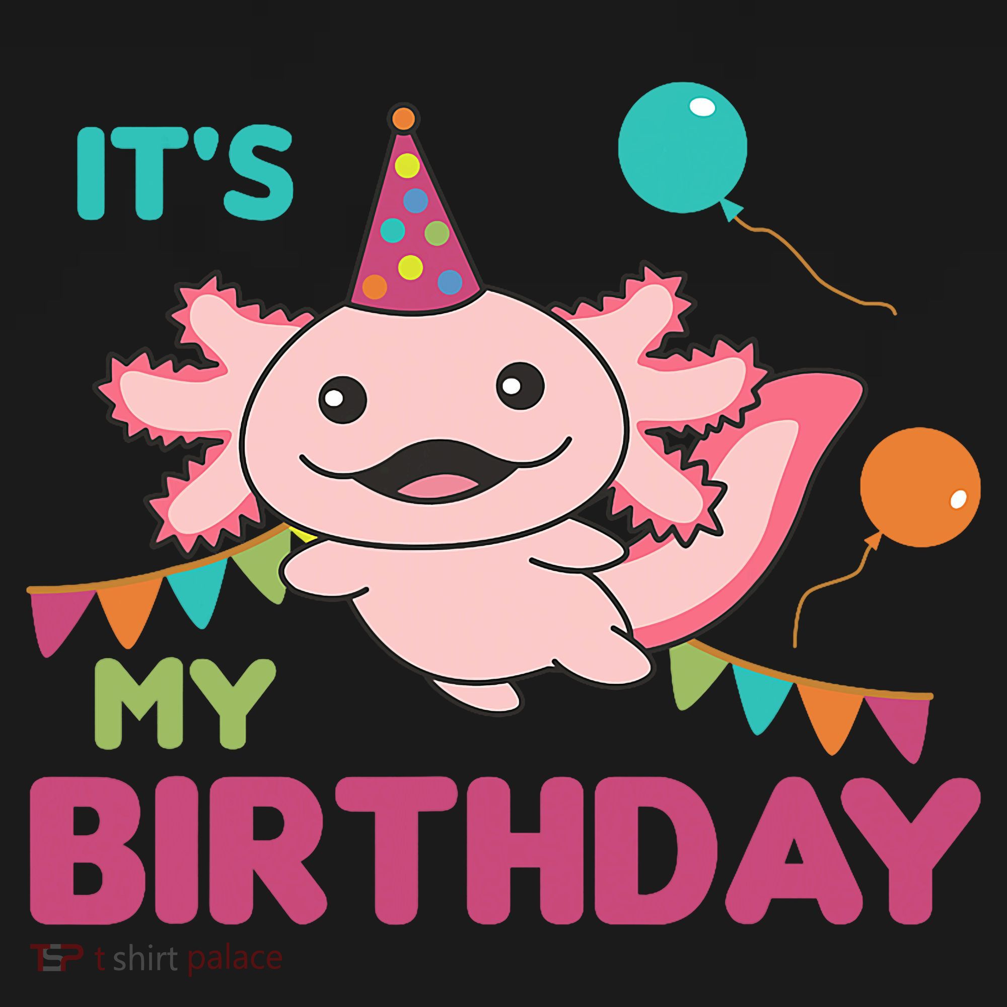Axolotl Balloons Birthday Axolotls Bucket Hat