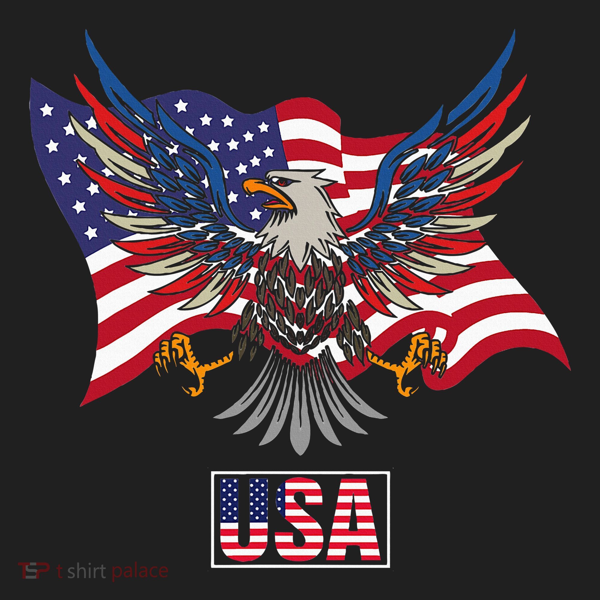 American Bald Eagle Usa Flag Beanie