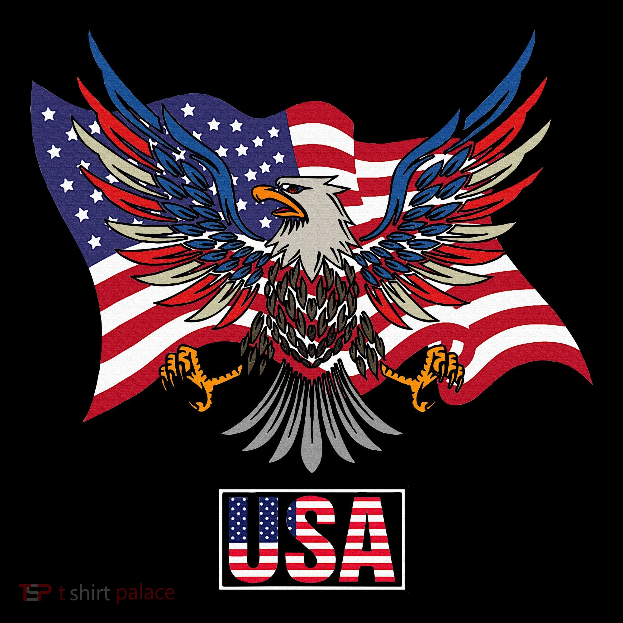 American Bald Eagle Usa Flag Women's Tank Top