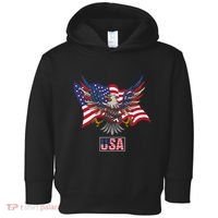 American Bald Eagle Usa Flag Toddler Hoodie thumb 0