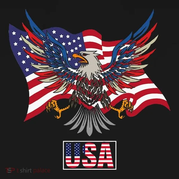 American Bald Eagle Usa Flag Kids Long Sleeve Shirt