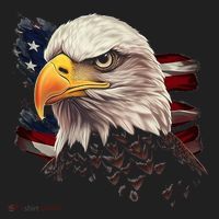 American Bald Eagle American Flag Usa Bald Eagle Women's Sweatshirt thumb 2