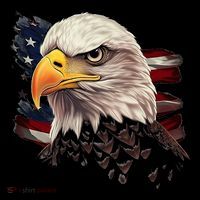 American Bald Eagle American Flag Usa Bald Eagle Women's Hoodie thumb 2