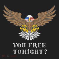 American Bald Eagle American Flag Patriotic You Free Tonight Great Gift Beanie thumb 2