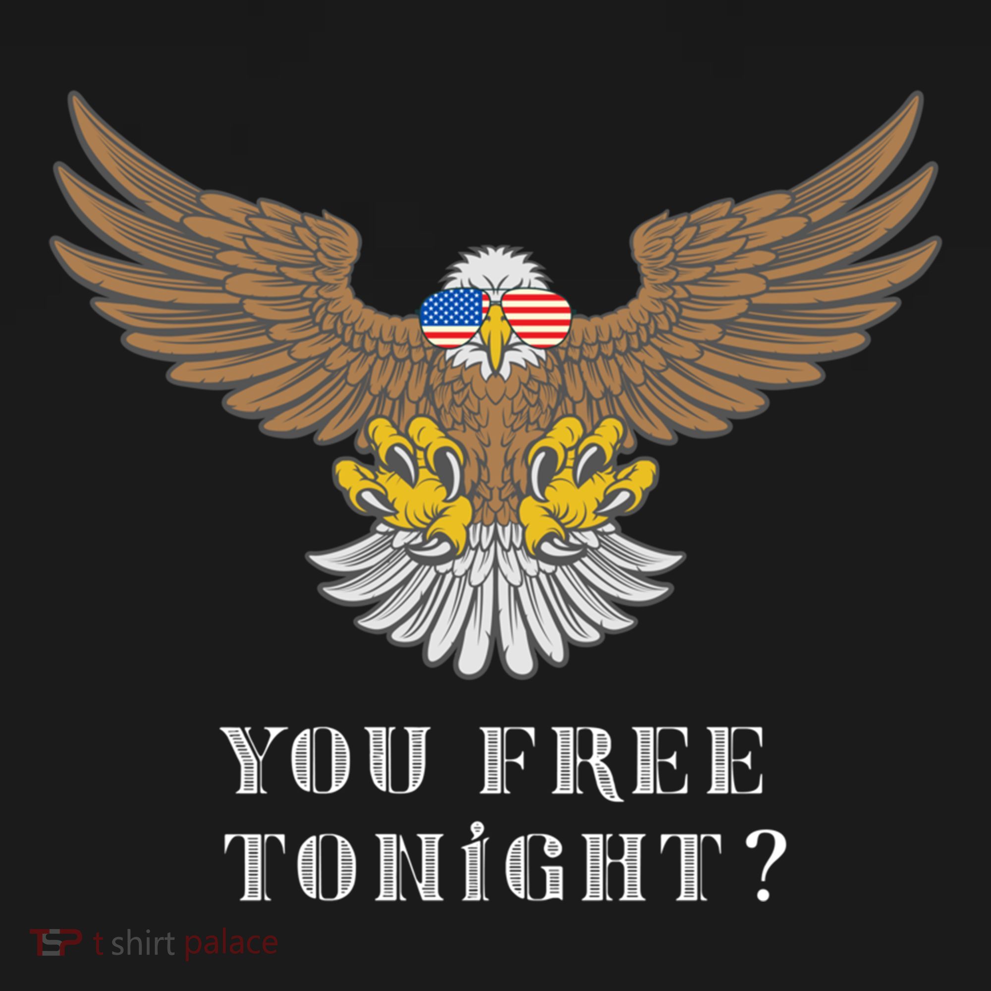 American Bald Eagle American Flag Patriotic You Free Tonight Great Gift Ornament