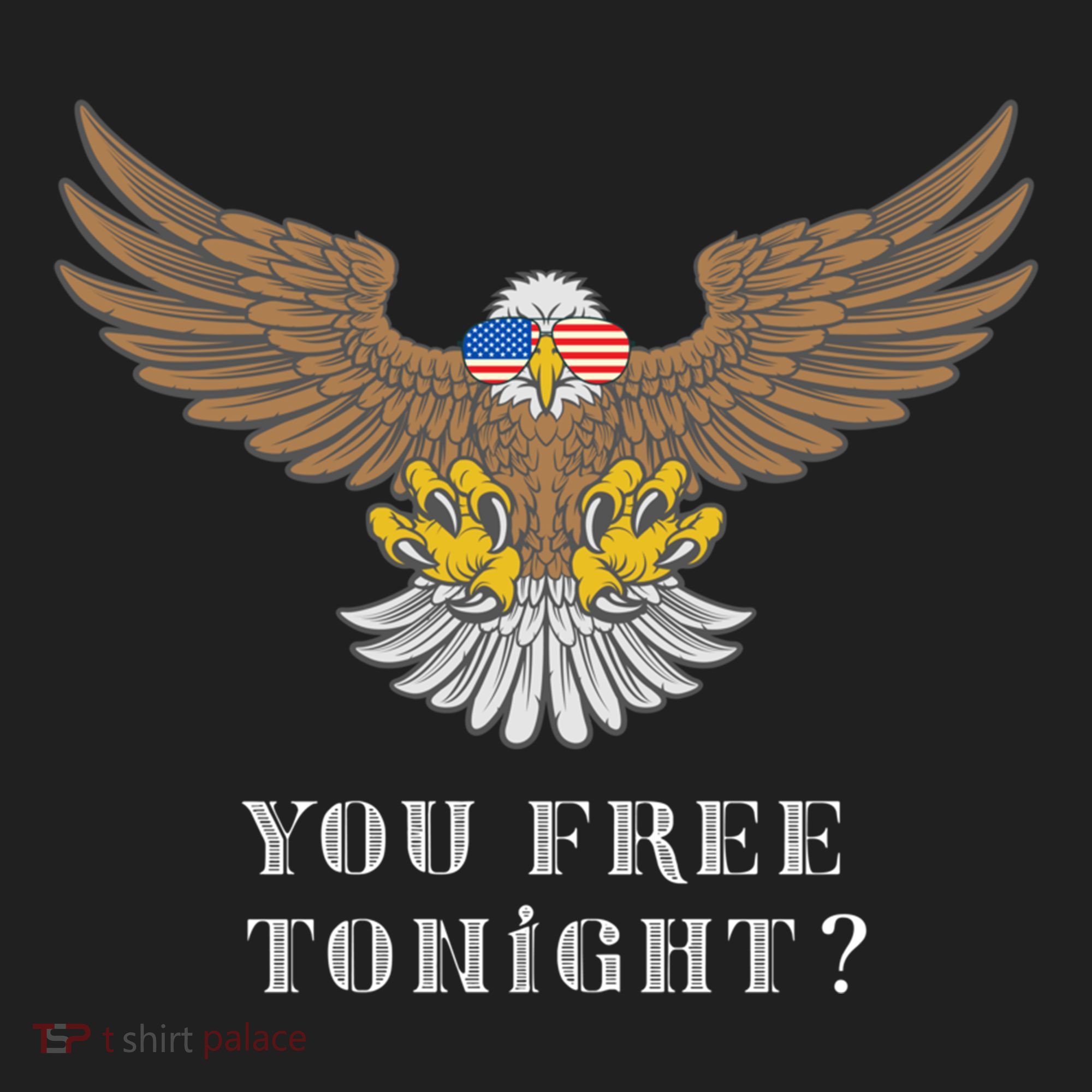 American Bald Eagle American Flag Patriotic You Free Tonight Great Gift Hat