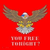 American Bald Eagle American Flag Patriotic You Free Tonight Great Gift Santa Hat thumb 1