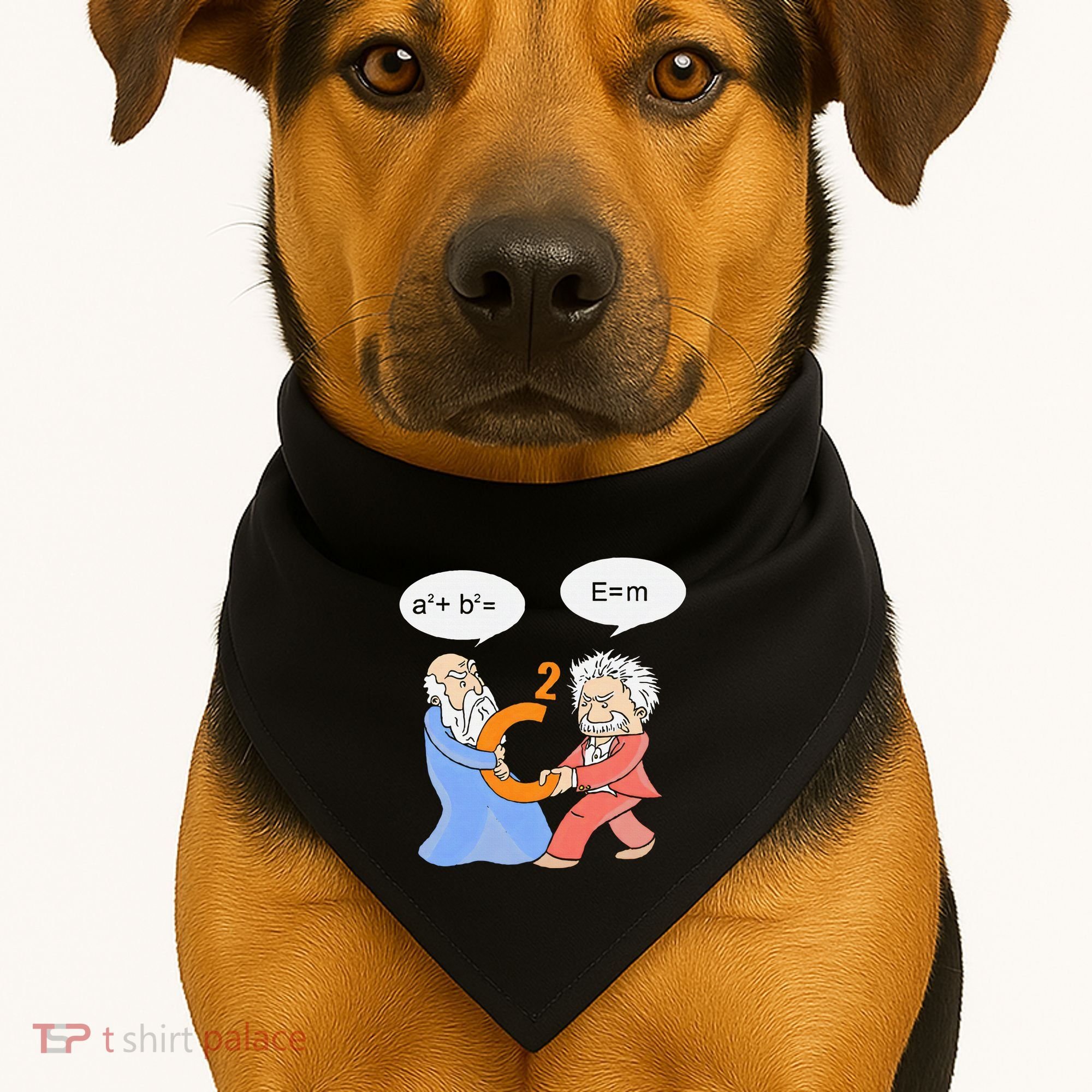 A2 B2 E Mc Funny Scientist USA-Made Doggie Bandana