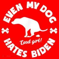 Anti Biden Even My Dog Hates Biden Anti Biden Pro America Santa Hat thumb 1