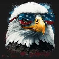 American Bald Eagle Usa Flag Eagle Usa Toddler Hoodie thumb 2
