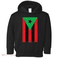 Afro Boricua Flag Funny Puerto Rico Africa Roots Pride Gift Toddler Hoodie thumb 0