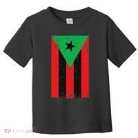 Afro Boricua Flag Funny Puerto Rico Africa Roots Pride Gift Toddler T-Shirt thumb 0
