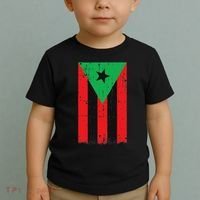 Afro Boricua Flag Funny Puerto Rico Africa Roots Pride Gift Toddler T-Shirt thumb 2