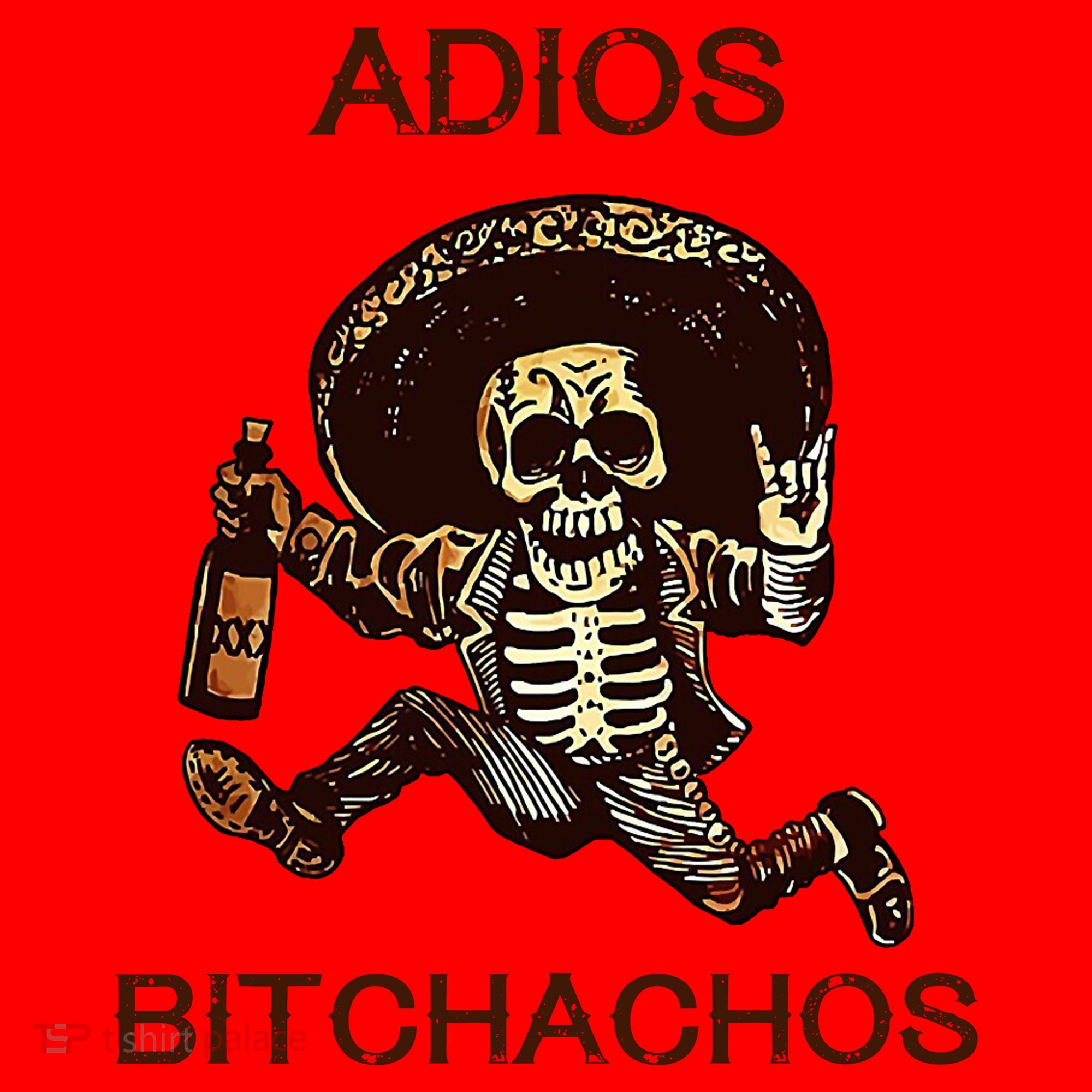 Adios Bichachos Funny Skull Santa Hat
