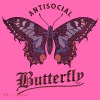 Antisocial Butterfly Grunge Fairycore Aesthetic Introvert Stripe Pom Pom Beanie thumb 2