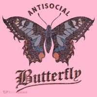 Antisocial Butterfly Grunge Fairycore Aesthetic Introvert Coaster thumb 2