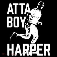 Atta Boy Harper Trending Atta Boy Harper USA-Made Doggie Bandana thumb 2
