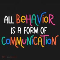 All Behavior Is A Form Of Communication SPED Teacher Autism Women's Hoodie thumb 2