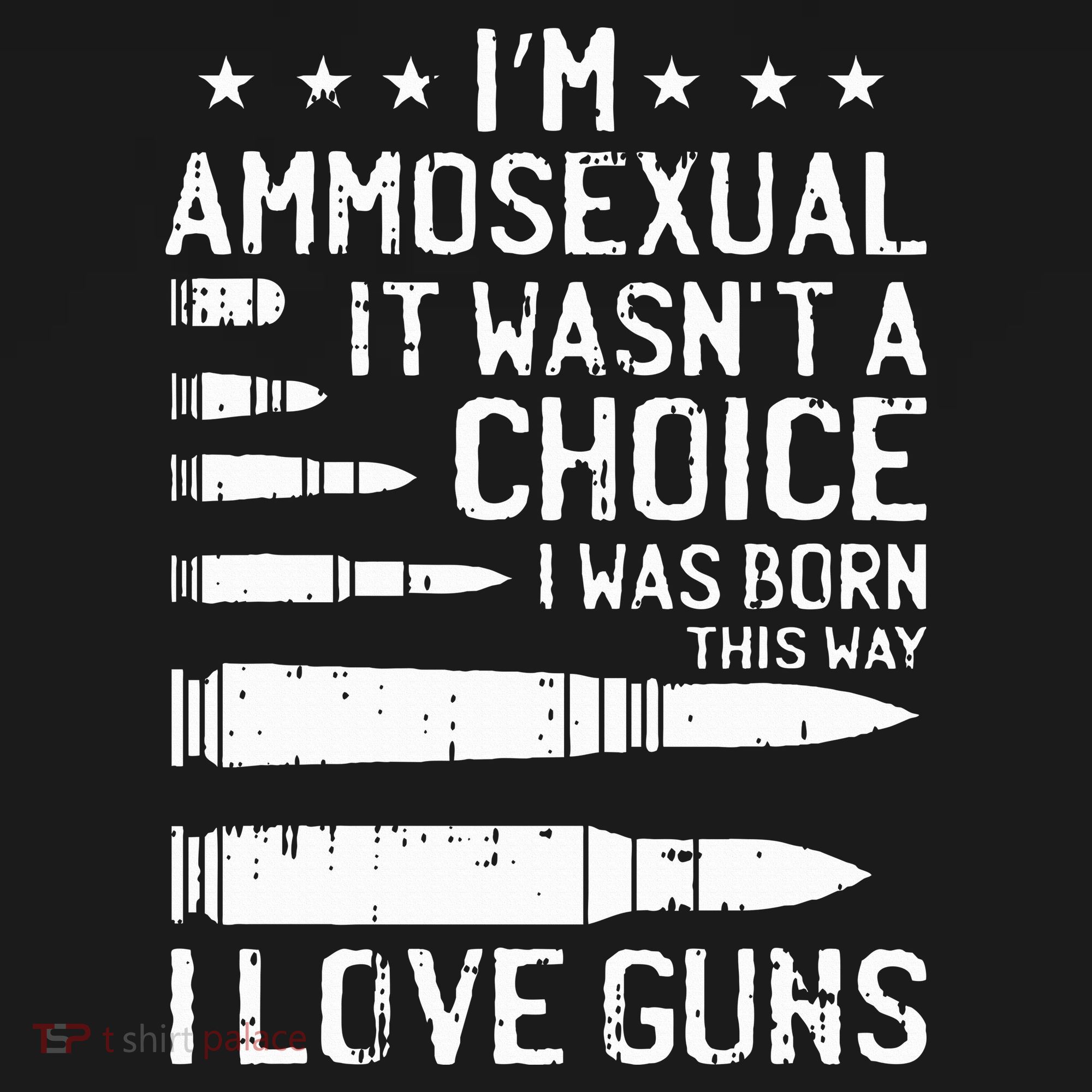 Ammosexual Bullets Love Pro Gun Lover Cool Enthusiast Gifts Women's T-Shirt