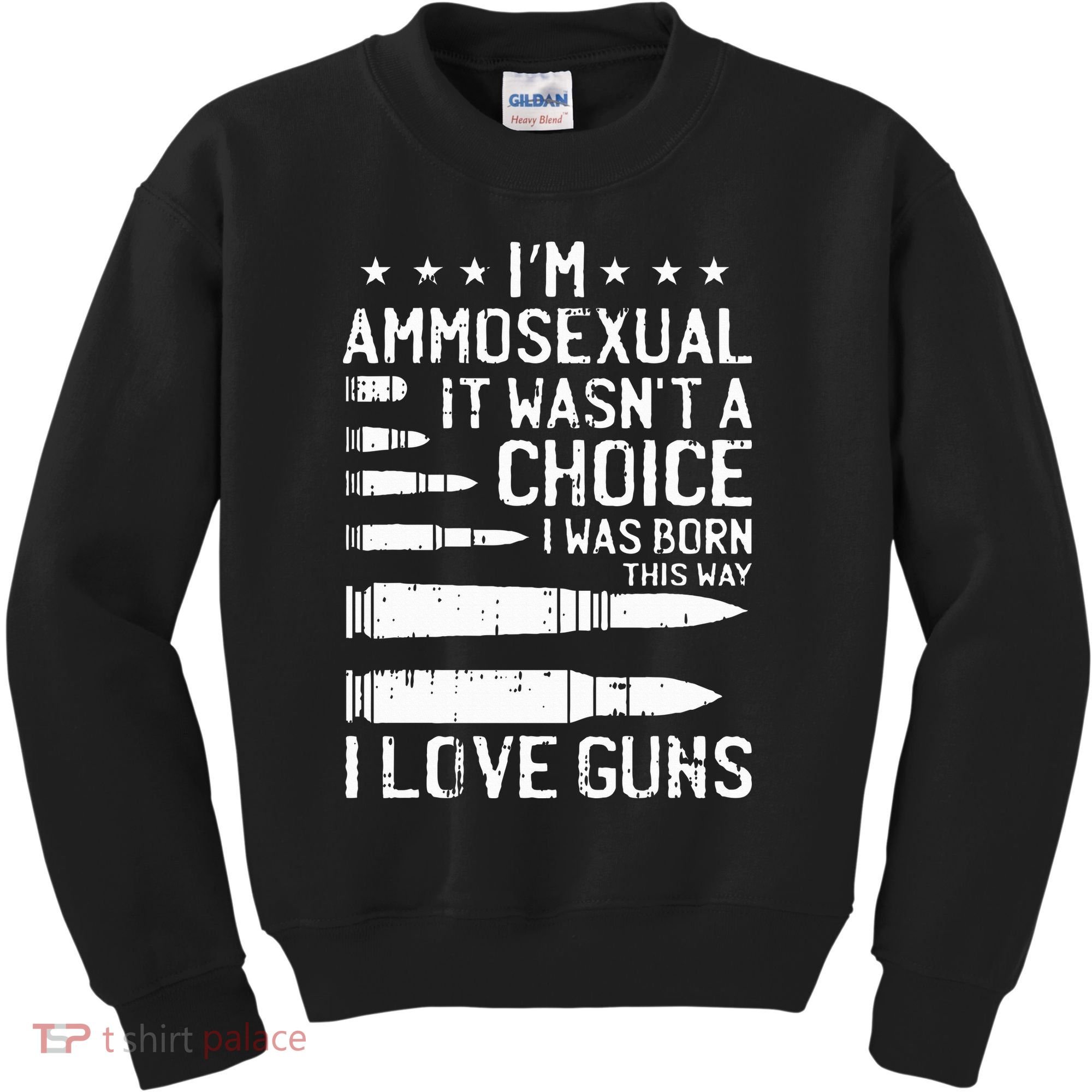 Ammosexual Bullets Love Pro Gun Lover Cool Enthusiast Gifts Kids Sweatshirt