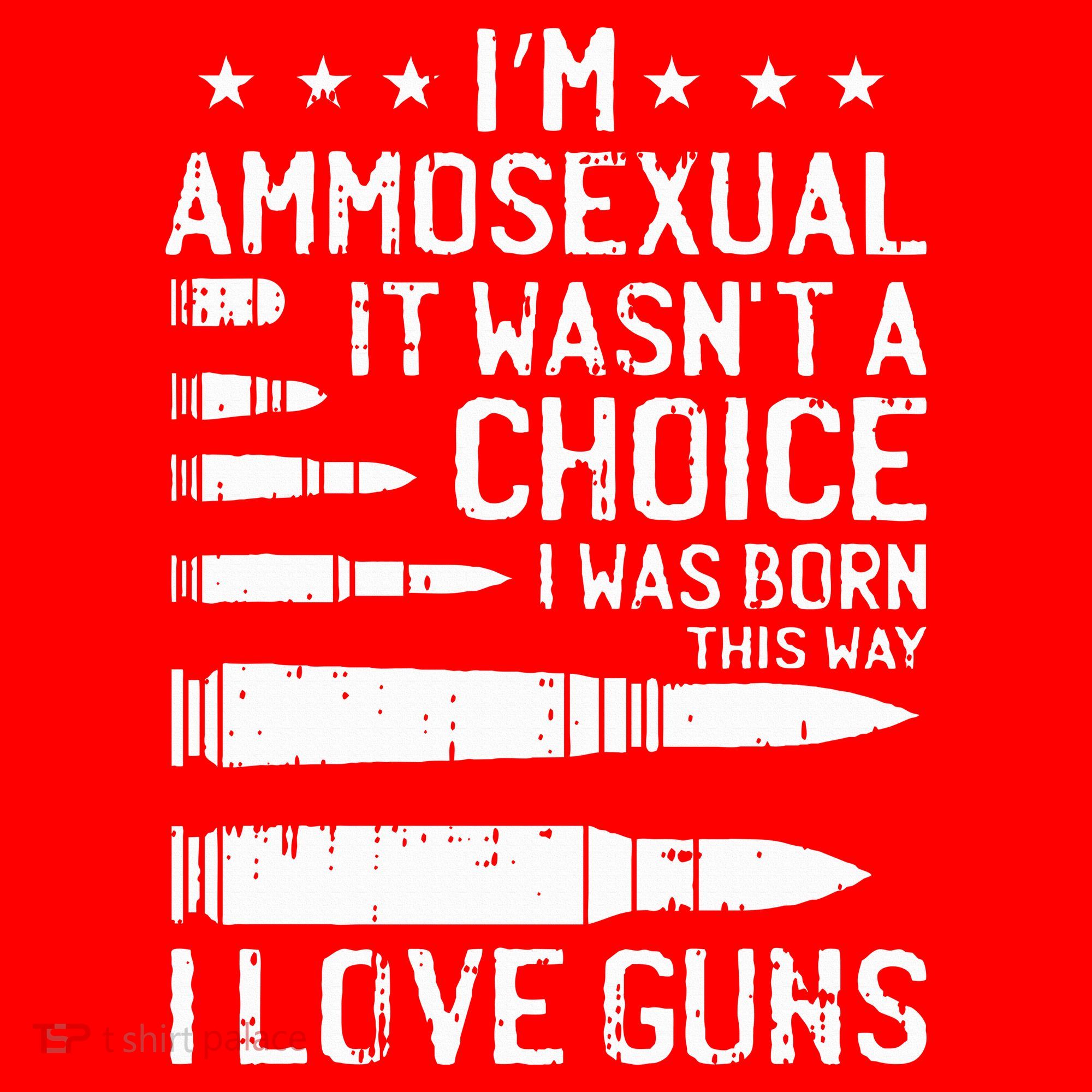 Ammosexual Bullets Love Pro Gun Lover Cool Enthusiast Gifts Santa Hat