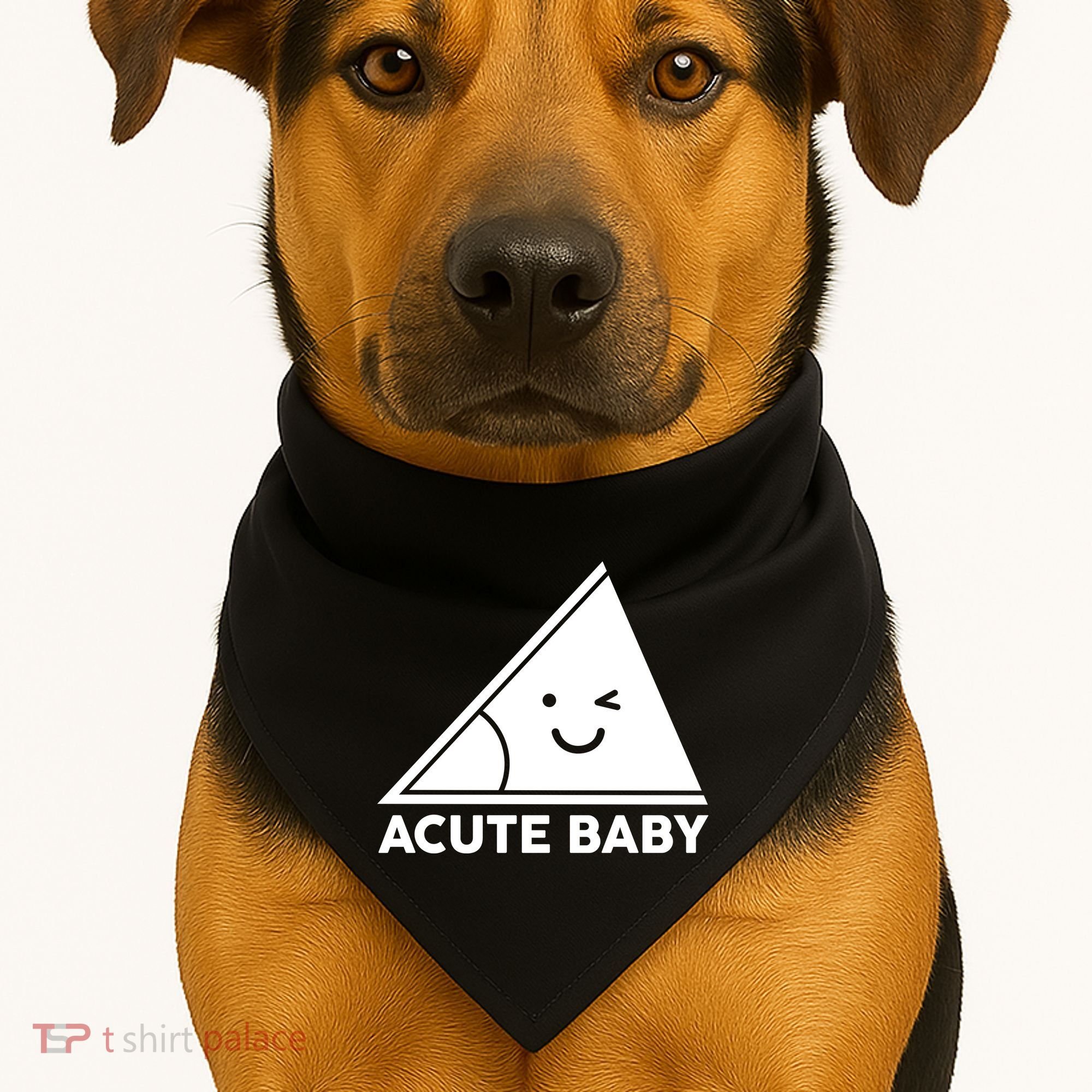 Acute Baby Matching Family Shirts USA-Made Doggie Bandana