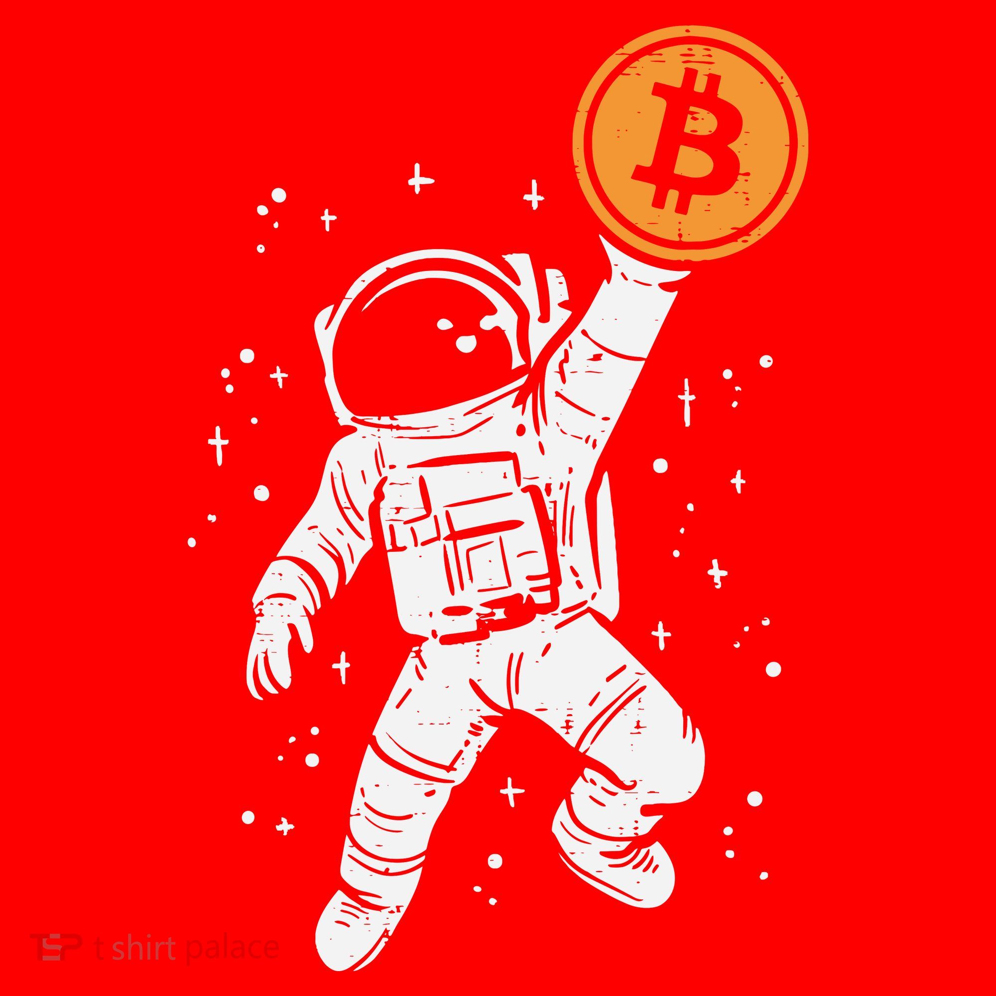 Astronaut Bitcoin Moon Funny Crypto Cryptocurrency Santa Hat