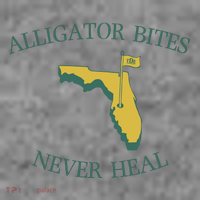 Alligator Bites Never Heal Florida Toddler Hoodie thumb 2