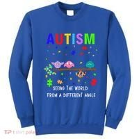 Autism Bird Puzzle Seeing The World From A Different Angle Gift Sweatshirt thumb 0