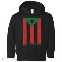 Afro Boricua Puerto Rico Africa Toddler Hoodie thumb 0