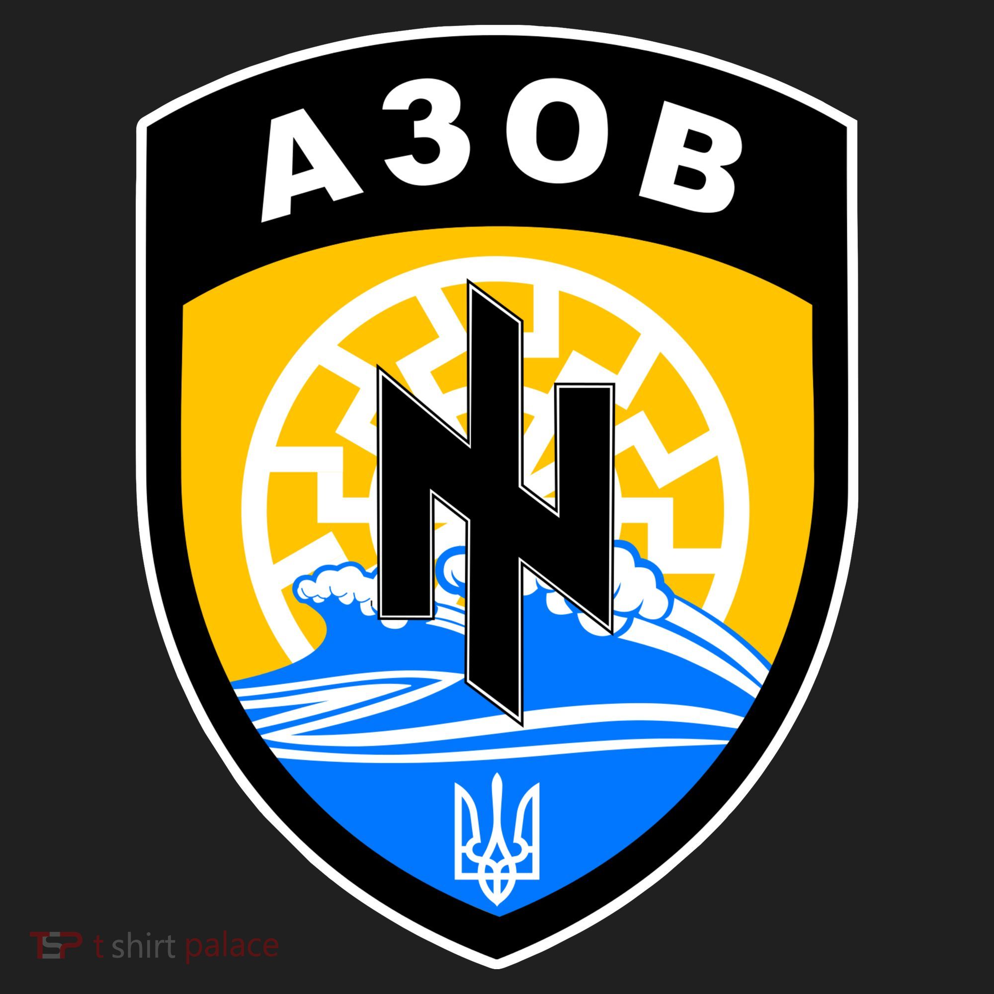 Azov Battalion Support Ukraine Military Tumbler