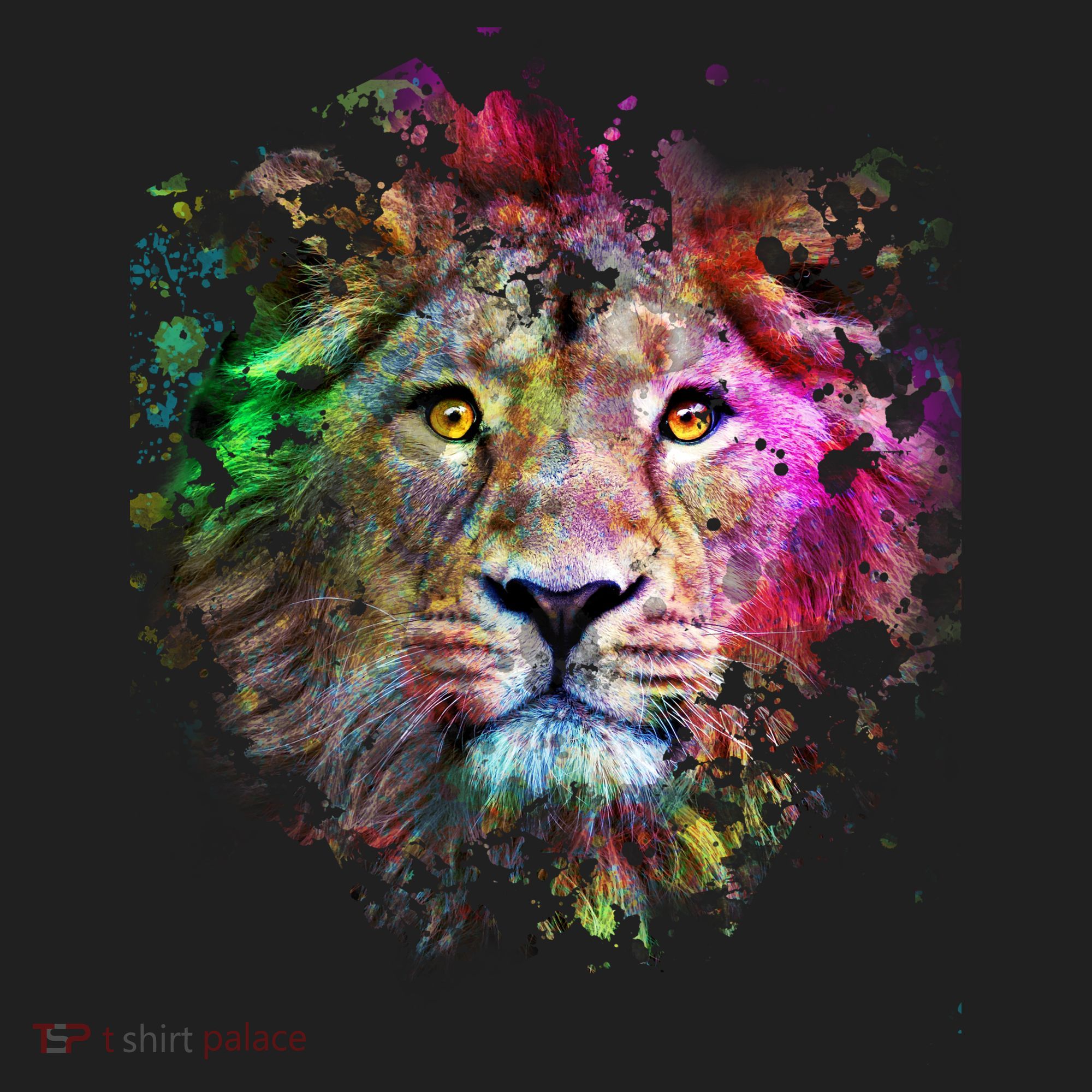 Abstract Lion Women's Sweatshirt
